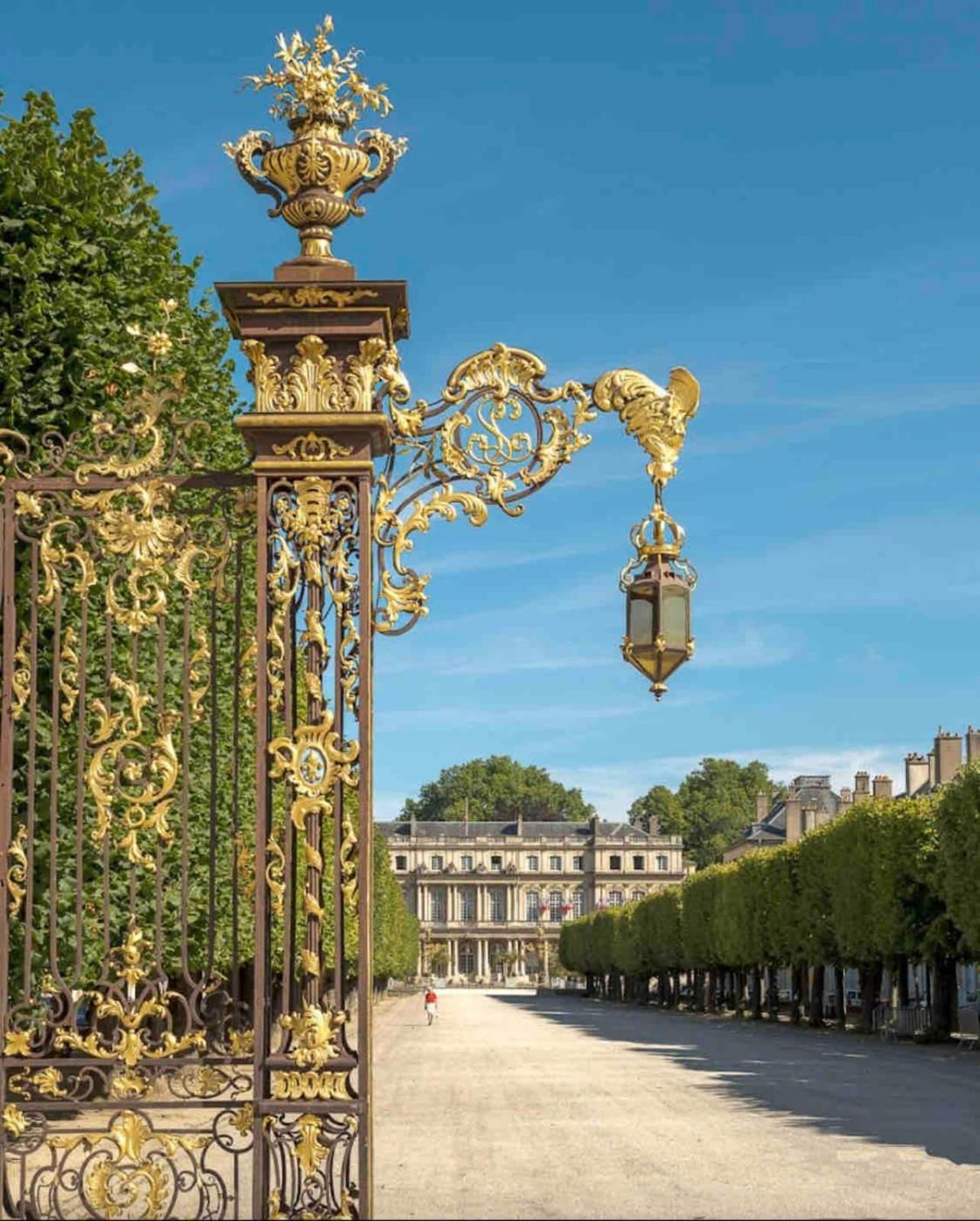 Le Dominicains Appartement Au Calme Aux Portes De La Place Stanislas Nancy Buitenkant foto